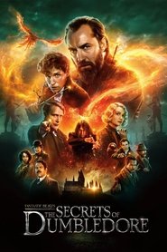 Fantastic Beasts: The Secrets of Dumbledore Fantastic Beasts: The Secrets of Dumbledore