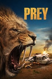 Prey Prey