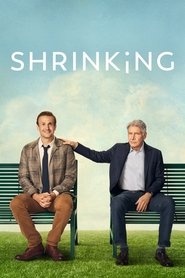 Shrinking Shrinking