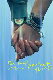 The Map of Tiny Perfect Things The Map of Tiny Perfect Things