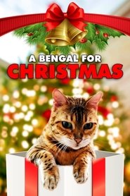 A Bengal for Christmas A Bengal for Christmas