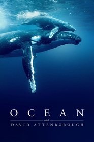 Ocean with David Attenborough Ocean with David Attenborough