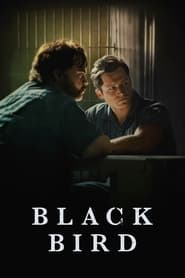 Black Bird Black Bird