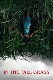In the Tall Grass In the Tall Grass
