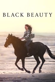 Black Beauty Black Beauty