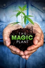 The Magic Plant The Magic Plant