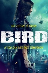 Bird Bird