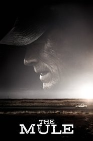 The Mule The Mule